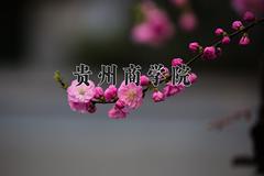 贵州商学院学费多少钱一年：4100-22000元/年（2025填报参考）