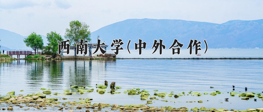 西南大学(中外合作)学费多少钱一年：38000-50000元/年（2025填报参考）-第1张图片-索考网