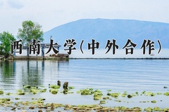 西南大学(中外合作)学费多少钱一年：38000-50000元/年（2025填报参考）