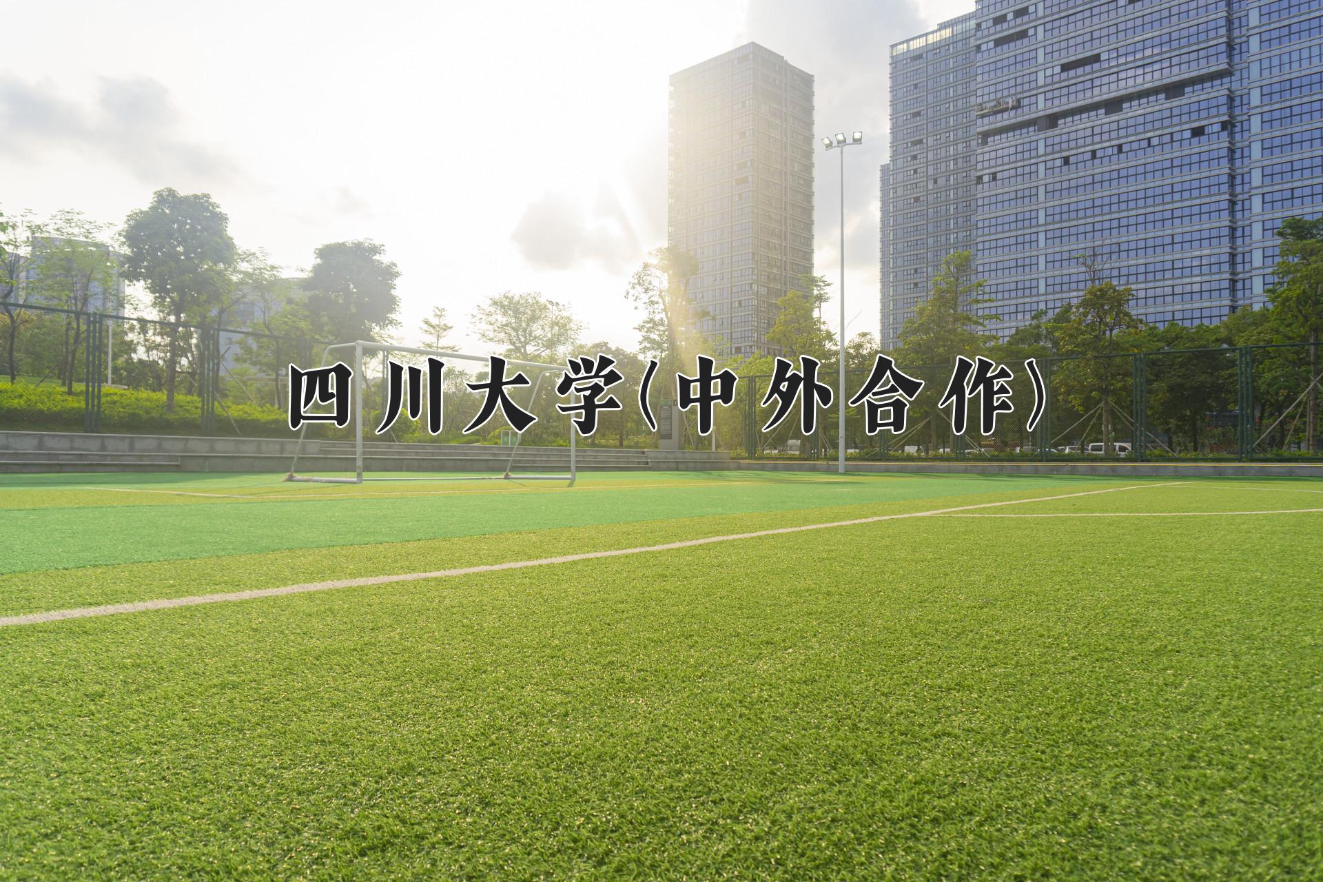 四川大学(中外合作)学费多少钱一年：80000-85000元/年（2025填报参考）