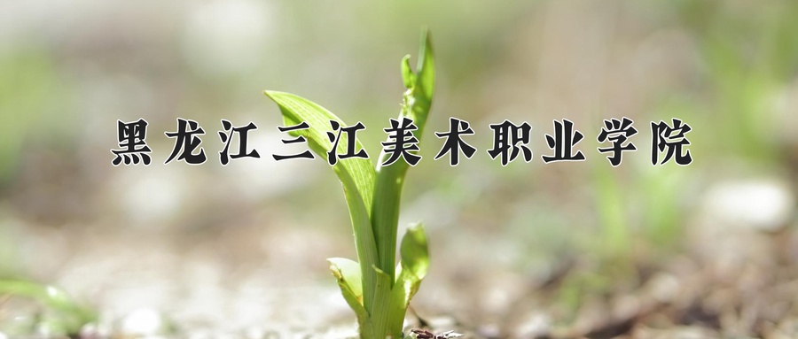 黑龙江三江美术职业学院学费多少钱一年：19800-21800元/年（2025填报参考）