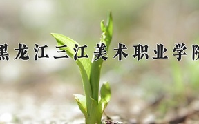 黑龙江三江美术职业学院学费多少钱一年：19800-21800元/年（2025填报参考）