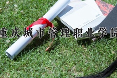 重庆城市管理职业学院学费多少钱一年：6200-8125元/年（2025填报参考）