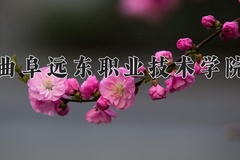 曲阜远东职业技术学院学费多少钱一年：9180-11380元/年（2025填报参考）