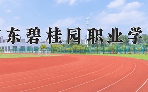 广东碧桂园职业学院学费多少钱一年：16800-28800元/年（2025填报参考）