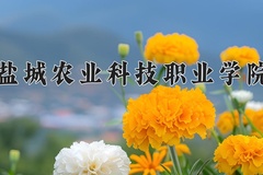 盐城农业科技职业学院学费多少钱一年：2200-5300元/年（2025填报参考）
