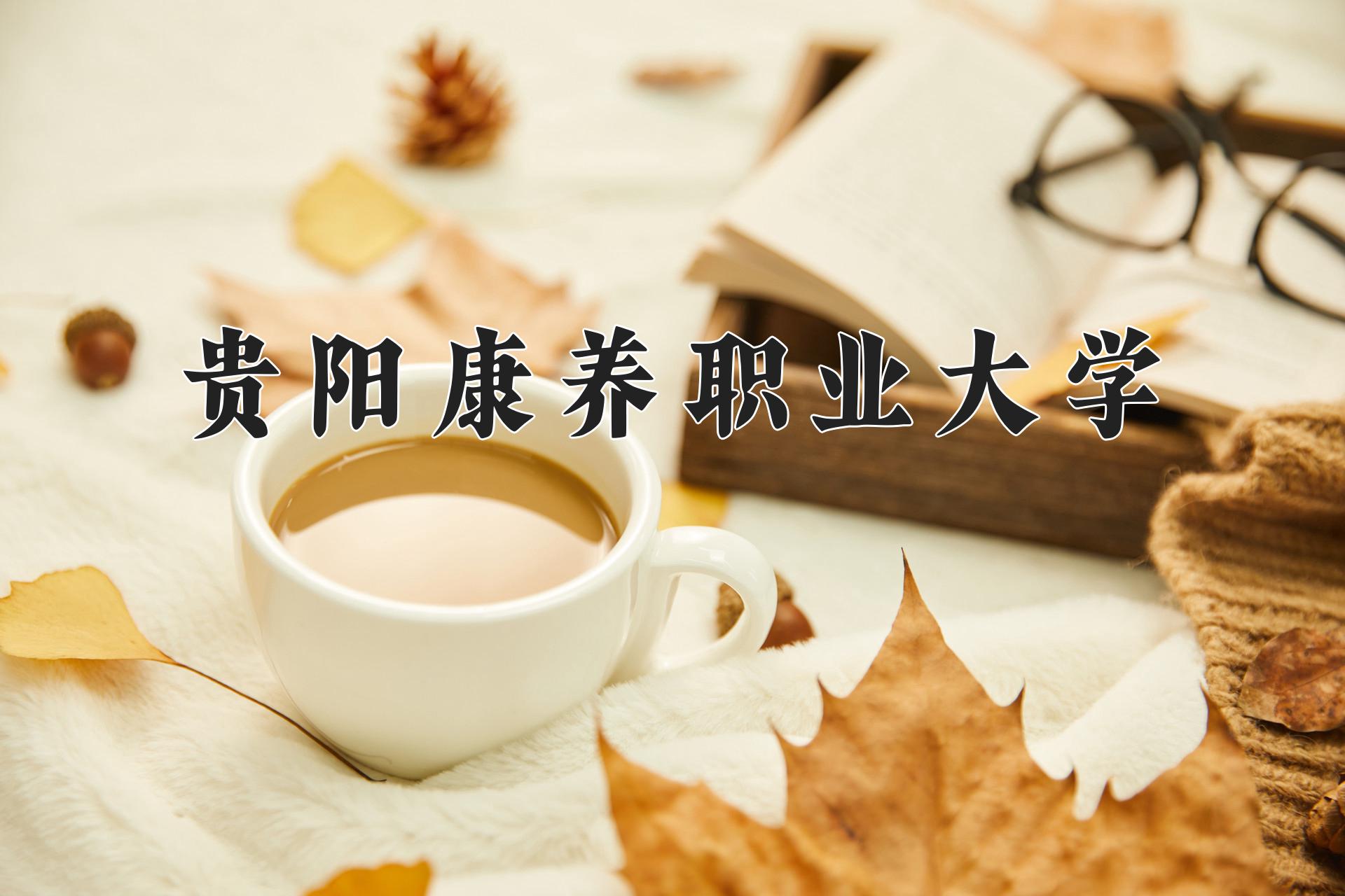 贵阳康养职业大学学费多少钱一年：3500-4200元/年（2025填报参考）