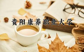 贵阳康养职业大学学费多少钱一年：3500-4200元/年（2025填报参考）