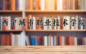 西宁城市职业技术学院学费多少钱一年：4300-5000元/年（2025填报参考）