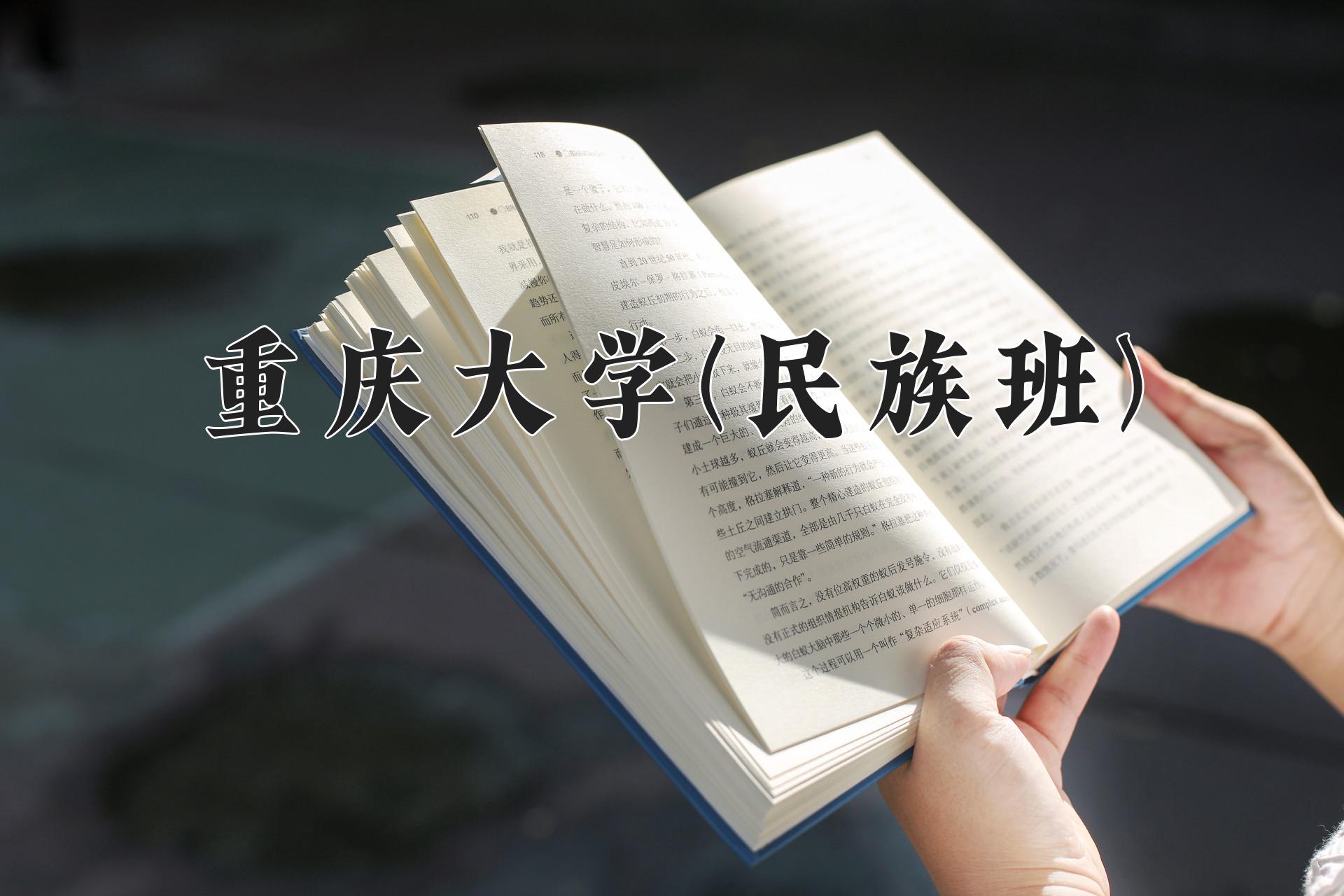 重庆大学(民族班)学费多少钱一年：4625-6875元/年（2025填报参考）