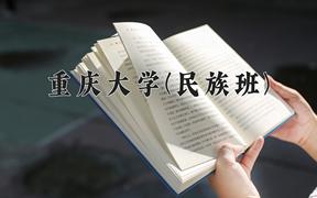 重庆大学(民族班)学费多少钱一年：4625-6875元/年（2025填报参考）