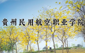贵州民用航空职业学院学费多少钱一年：7800-9900元/年（2025填报参考）