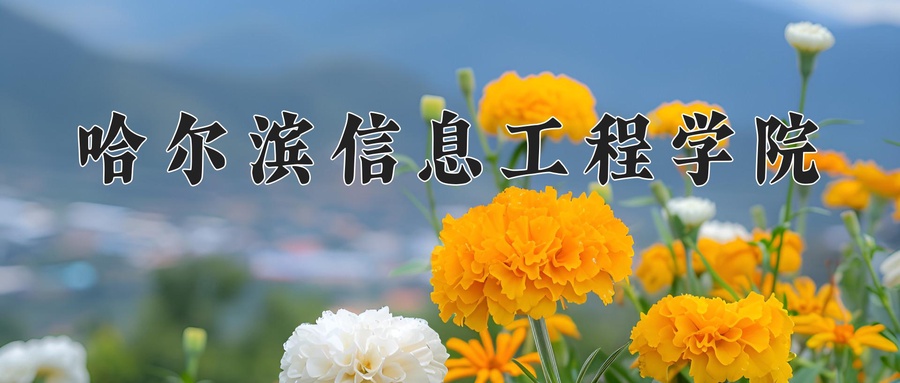 哈尔滨信息工程学院学费多少钱一年：23800-26500元/年（2025填报参考）