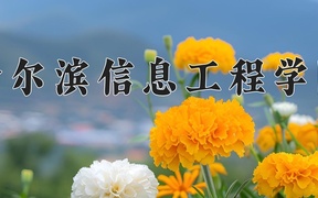 哈尔滨信息工程学院学费多少钱一年：23800-26500元/年（2025填报参考）