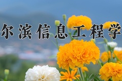 哈尔滨信息工程学院学费多少钱一年：23800-26500元/年（2025填报参考）