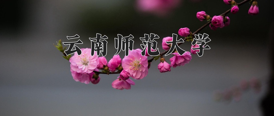 云南师范大学学费多少钱一年：3400-5000元/年（2025填报参考）