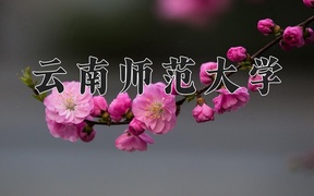 云南师范大学学费多少钱一年：3400-5000元/年（2025填报参考）