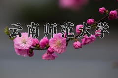 云南师范大学学费多少钱一年：3400-5000元/年（2025填报参考）