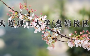 大连理工大学(盘锦校区)学费多少钱一年：6240-85000元/年（2025填报参考）