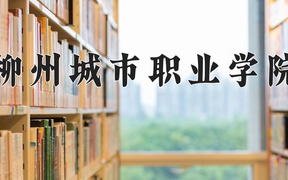 柳州城市职业学院学费多少钱一年：5500-7500元/年（2025填报参考）
