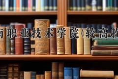 河南职业技术学院(较高收费)学费多少钱一年：8100-16000元/年（2025填报参考）