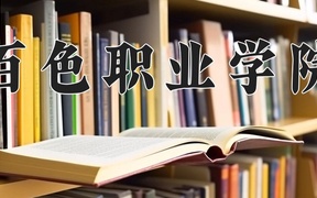 百色职业学院学费多少钱一年：4000-6500元/年（2025填报参考）
