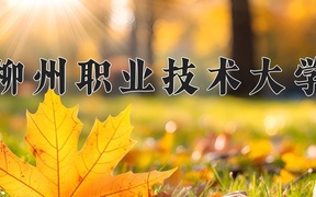 柳州职业技术大学学费多少钱一年：6500-8500元/年（2025填报参考）