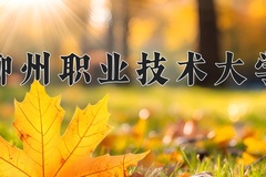 柳州职业技术大学学费多少钱一年：6500-8500元/年（2025填报参考）