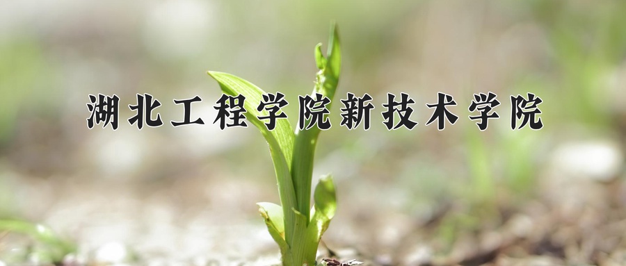 湖北工程学院新技术学院学费多少钱一年：7500-14000元/年（2025填报参考）