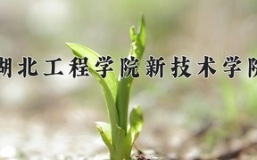 湖北工程学院新技术学院学费多少钱一年：7500-14000元/年（2025填报参考）