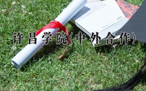 许昌学院(中外合作)学费多少钱一年：13000-16000元/年（2025填报参考）