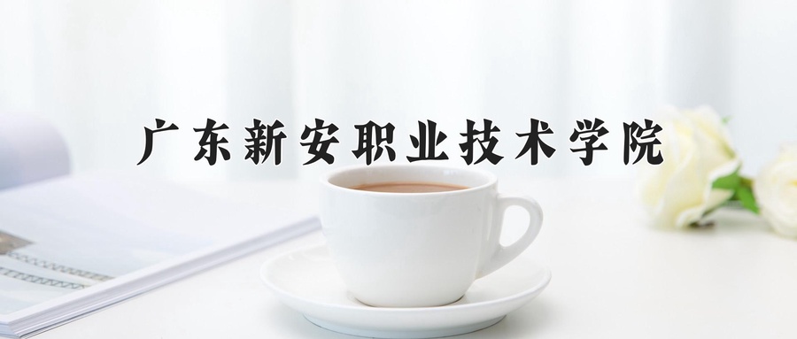 广东新安职业技术学院学费多少钱一年：18800-28800元/年（2025填报参考）