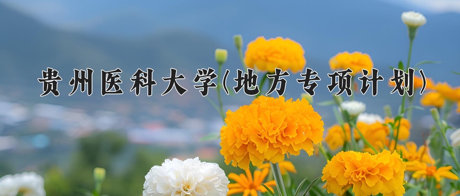 贵州医科大学(地方专项计划)学费多少钱一年：4200-4500元/年（2025填报参考）