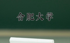 2024年合肥大学录取分数线，广东最低516分