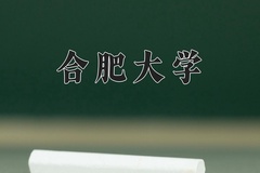 2024年合肥大学录取分数线，广东最低516分