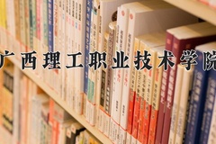 2024年广西理工职业技术学院录取分数线，广东最低341分