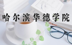 2024年哈尔滨华德学院录取分数线，广东最低451分