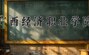 2024年广西经济职业学院录取分数线，广东最低321分