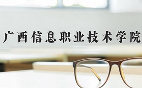 2024年广西信息职业技术学院录取分数线，广东最低353分