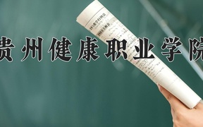 2024年贵州健康职业学院录取分数线，广东最低381分