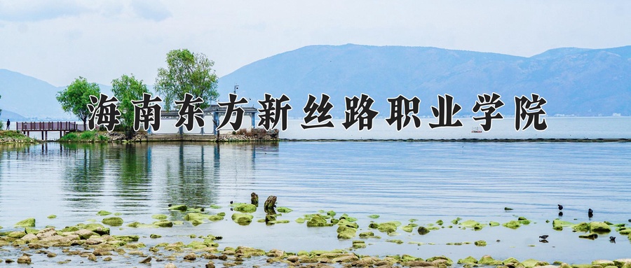 海南东方新丝路职业学院