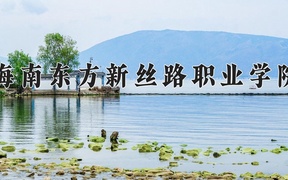 2024年海南东方新丝路职业学院录取分数线，广东最低251分