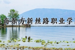2024年海南东方新丝路职业学院录取分数线，广东最低251分