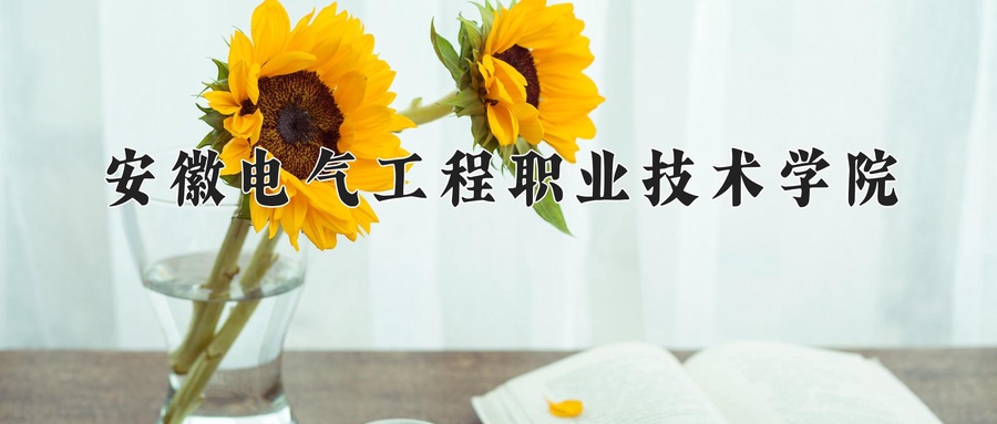 安徽电气工程职业技术学院