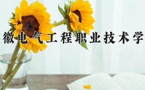 2024年安徽电气工程职业技术学院录取分数线，广东最低409分