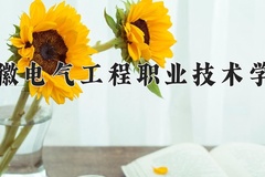 2024年安徽电气工程职业技术学院录取分数线，广东最低409分