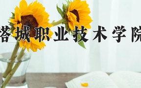 2024年塔城职业技术学院录取分数线，广东最低373分