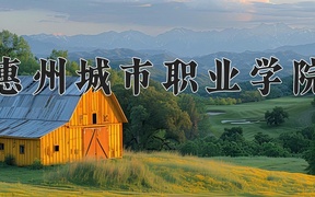 2024年惠州城市职业学院录取分数线，广东最低357分