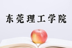 2024年东莞理工学院录取分数线，广东最低497分