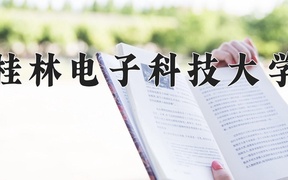 2024年桂林电子科技大学录取分数线，广东最低425分